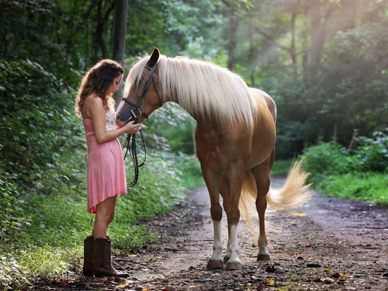 Paardencoaching